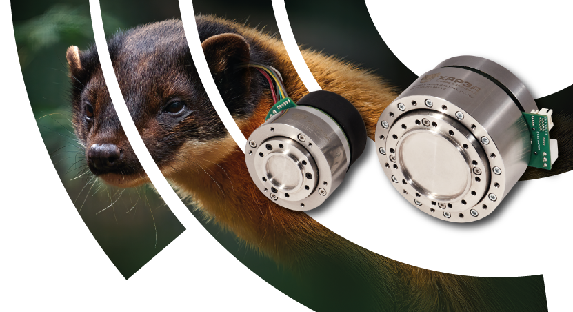 Серия ХАРЗА-ПВ