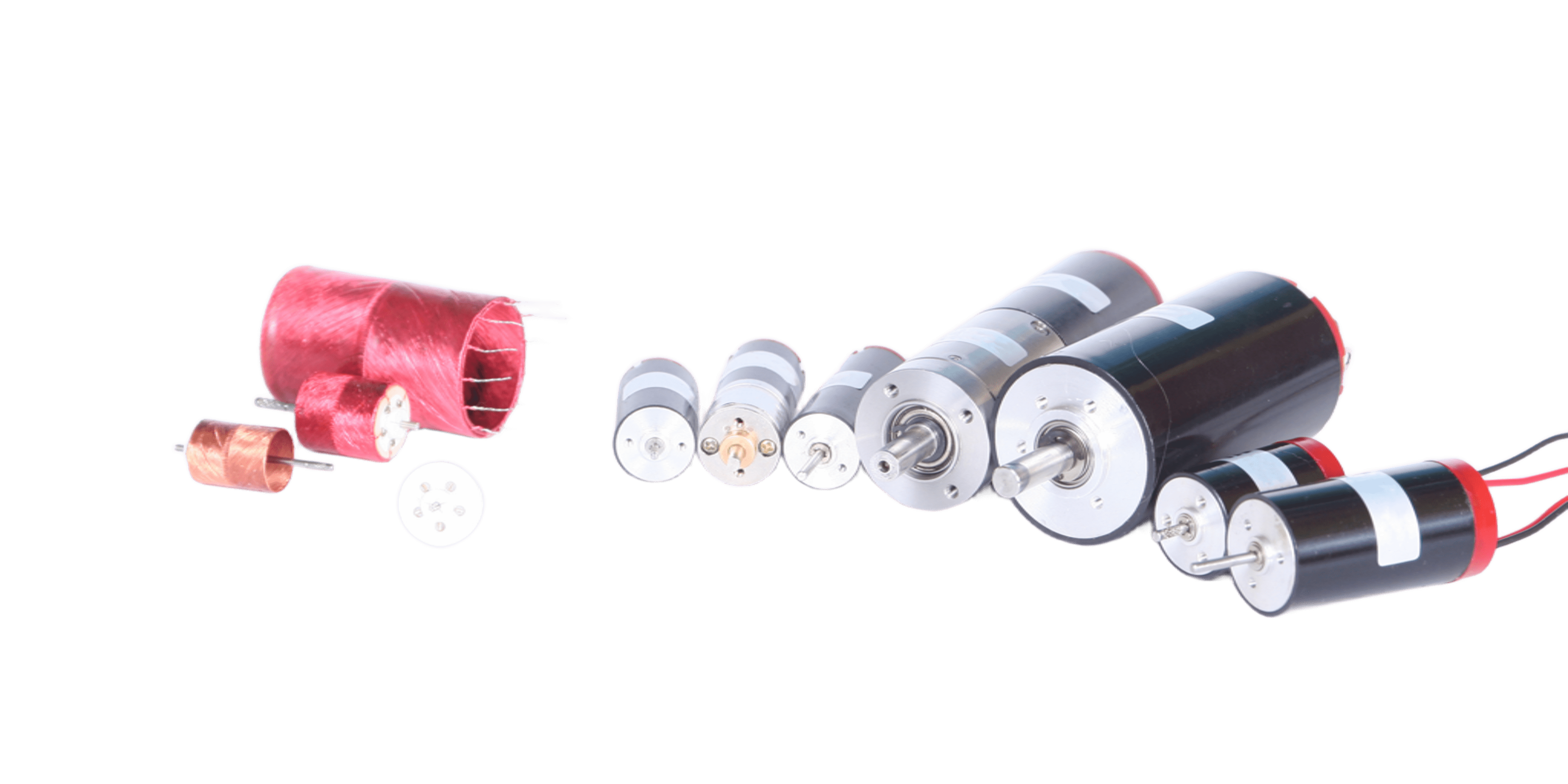 Дистрибуция