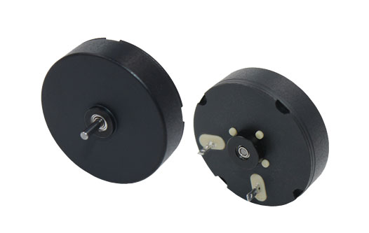 Коллекторный двигатель постоянного тока Langyi 2607R-01A