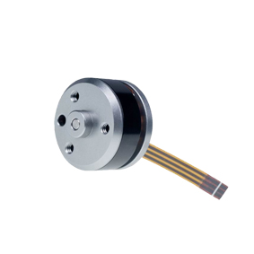 Бесколлекторный двигатель постоянного тока Constar BO1709NB2B 02-142-10.0, 0,2 Вт