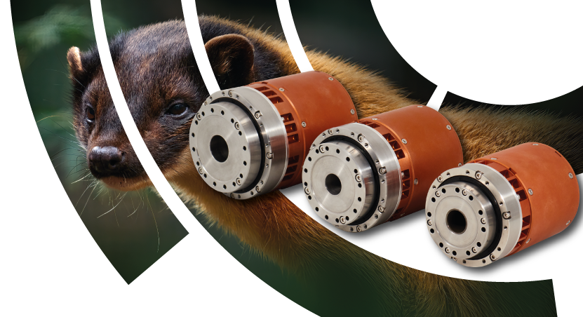 Серия ХАРЗА-Р