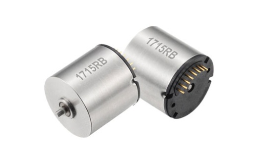 Бесколлекторный двигатель постоянного тока Langyi 1715RB-01A