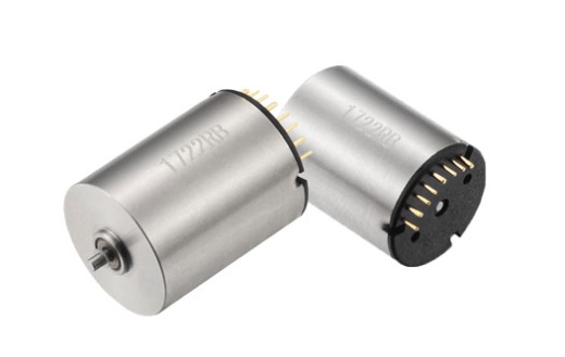 Бесколлекторный двигатель постоянного тока Langyi 1722RB-09A