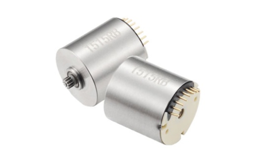 Бесколлекторный двигатель постоянного тока Langyi 1515RB-12C